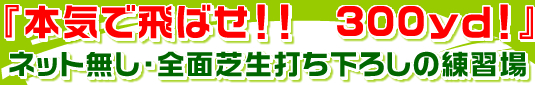 『本気で飛ばせ!!　300yd!』ネット無し・全面芝生打ち下ろしの練習場